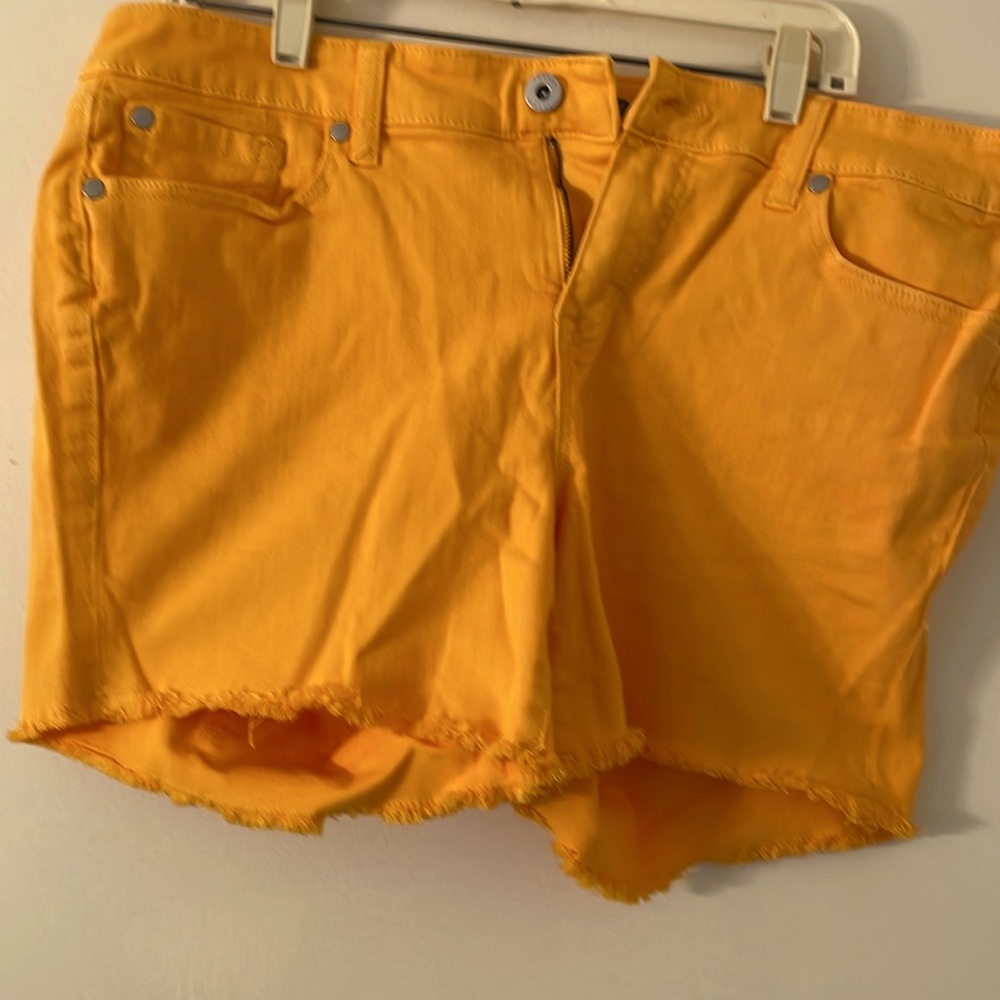 Torrid Mid 5 Shorts